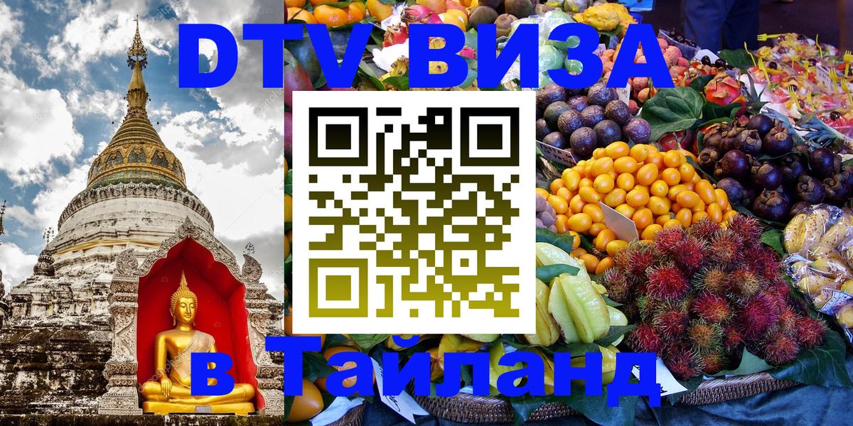 Сколько стоит DTV виза — актуальные цены, оформление даже без документов - Димитровград 